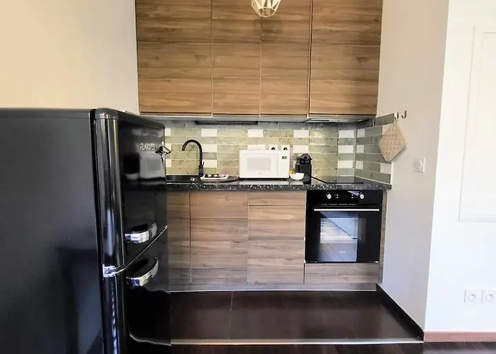 Wehost Clemenceau Sunny Palace 4 Pers 1 Bedroom Appartement *