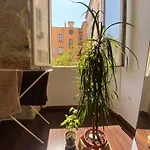 Wehost Clemenceau Sunny Palace 4 Pers 1 Bedroom Apartment Nice